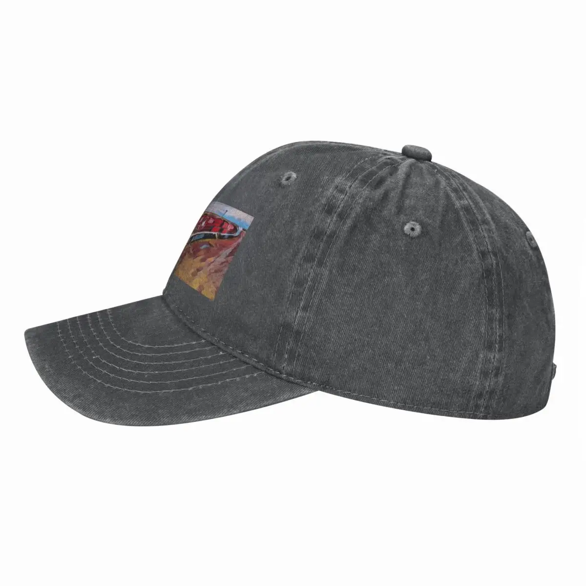 The Ghan Train Australia Baseb - Cap Streetwear Brand 评论和价格